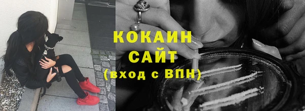 мяу мяу мука Коряжма