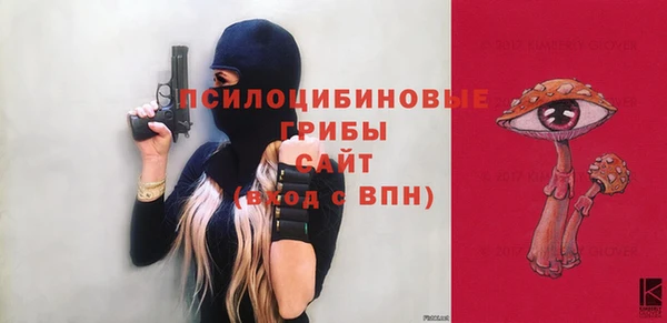 соль ск Корсаков