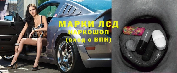 мяу мяу мука Коряжма