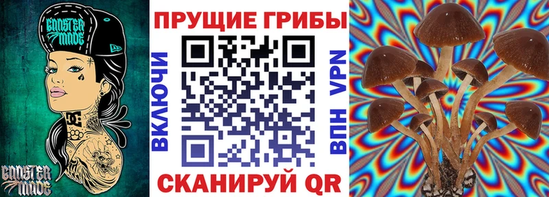 Галлюциногенные грибы Magic Shrooms Купить Бахчисарай